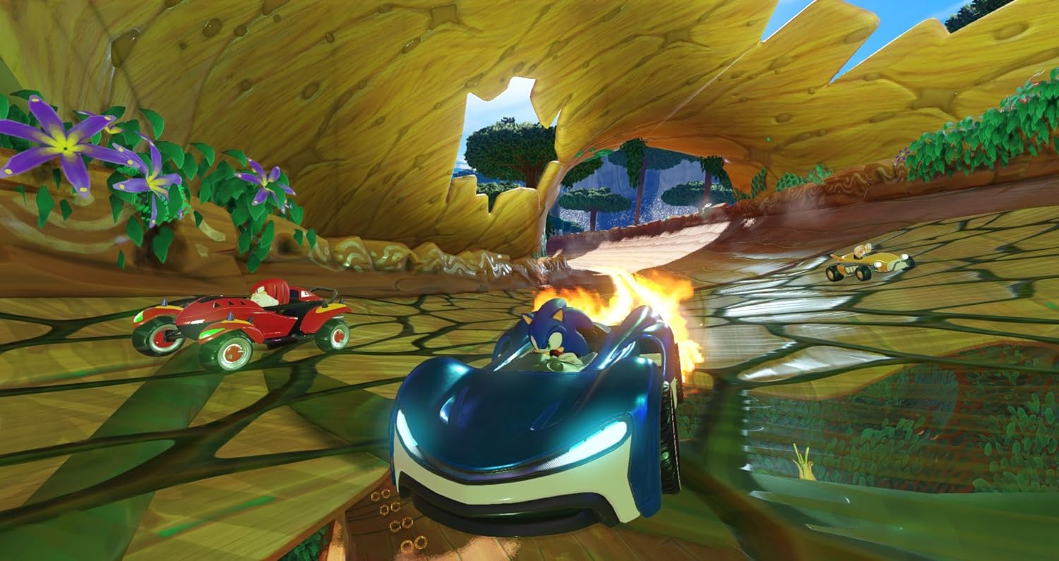Team Sonic Racing Nintendo Switch - Image 4